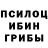 Галлюциногенные грибы Psilocybine cubensis Mihail Vladimirovich