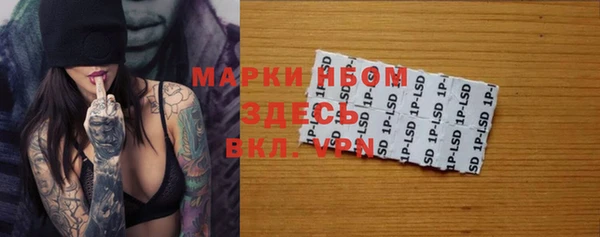 стафф Алзамай