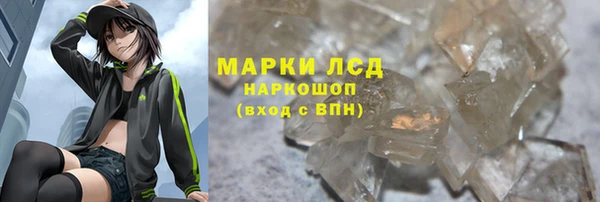 СК Алексин