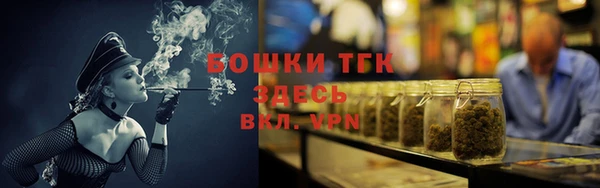 СК Алексин