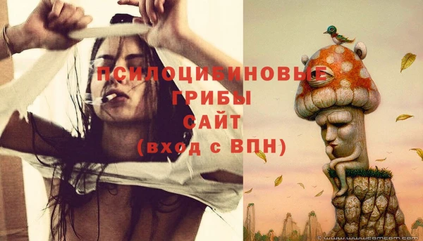 СК Алексин