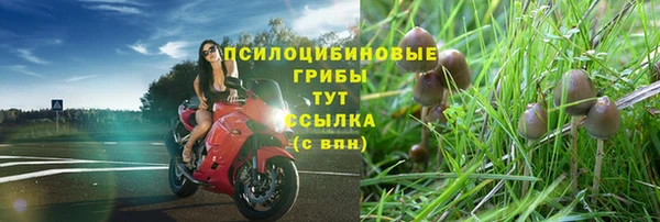 СК Алексин